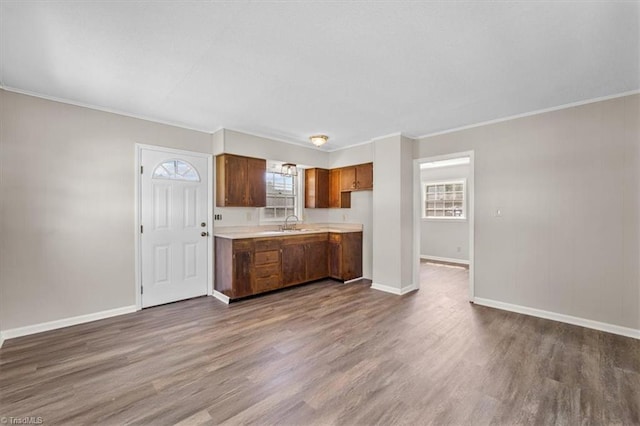 kitchen featuring ornamental molding, sink, and dark hardwood / wood-style flooring