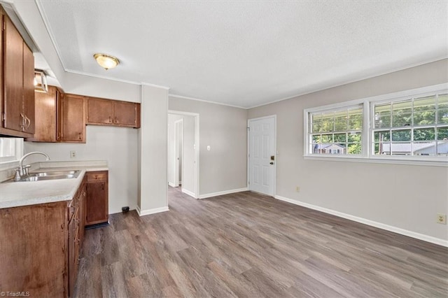 kitchen with wood-type flooring, sink, crown molding, and a textured ceiling