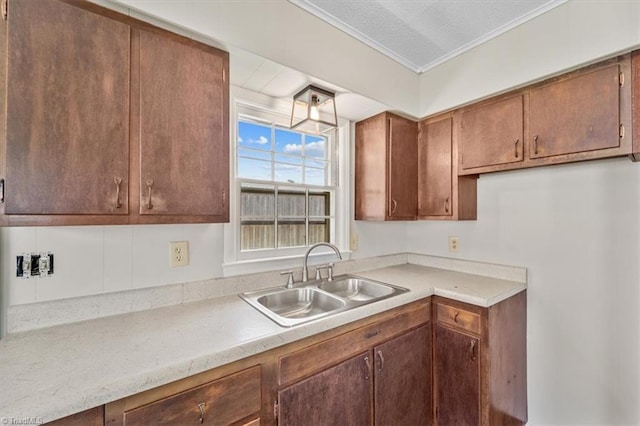 kitchen featuring sink and ornamental molding