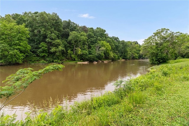 518 E Main St, Franklinville, NC 27248 - water view with a heavily wooded area