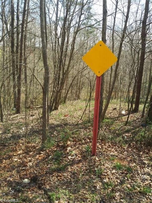 0 Cedar Springs Rd, Randleman NC, 27317 land for sale