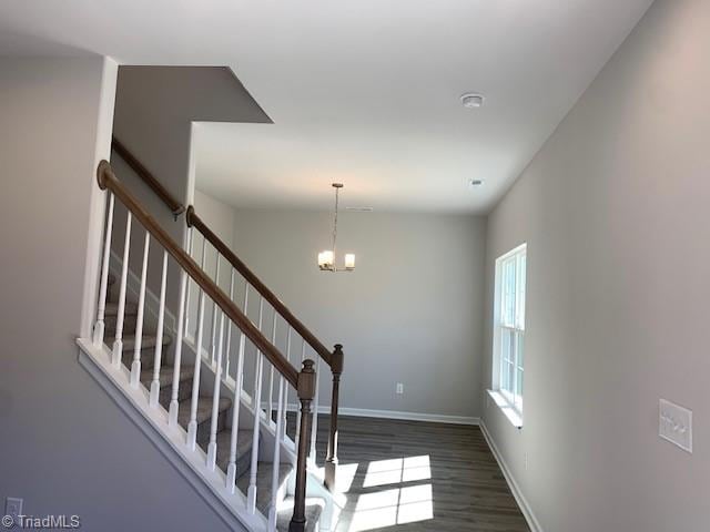 staircase with hardwood / wood-style flooring and an inviting chandelier