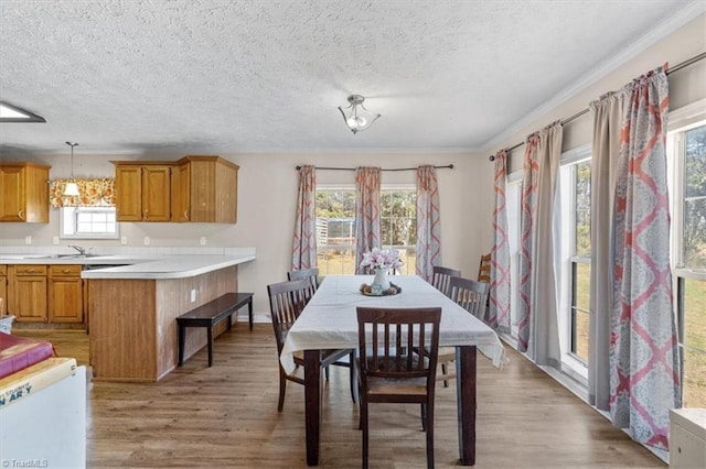 dining area featuring sink, light hardwood / wood-style floors, and a textured ceiling