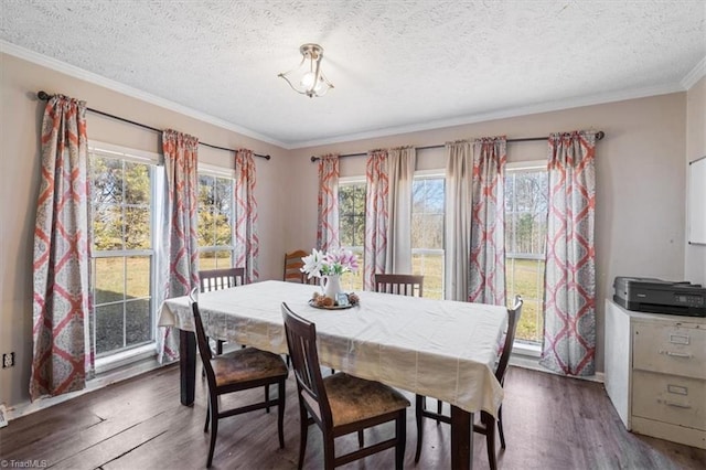 dining space with a healthy amount of sunlight, dark wood-type flooring, a textured ceiling, and crown molding