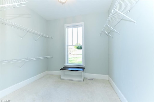 spacious closet featuring carpet floors