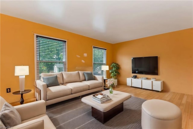 living room featuring hardwood / wood-style flooring and a wealth of natural light