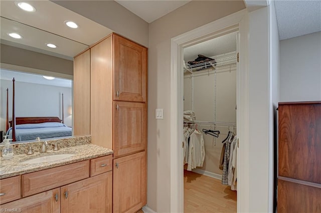 bathroom featuring hardwood / wood-style floors and vanity