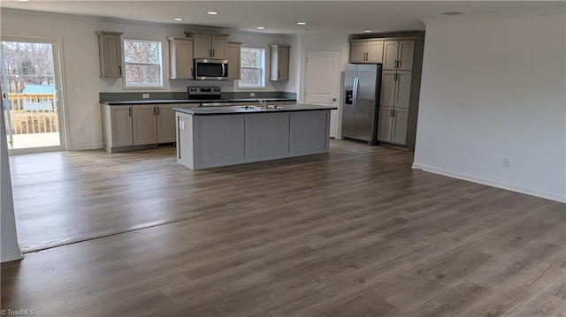 kitchen featuring gray cabinets, dark hardwood / wood-style floors, sink, stainless steel appliances, and a center island with sink