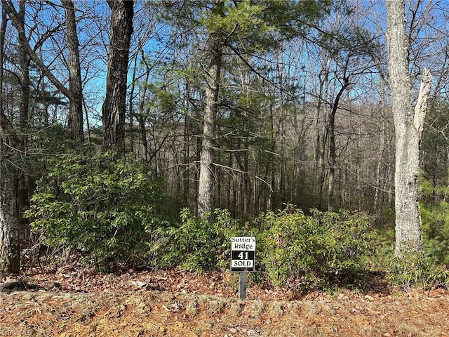 LOT41 Sutters Ridge Rd, Mcgrady, NC 28649