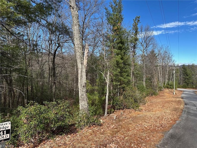 Listing photo 2 for LOT41 Sutters Ridge Rd, Mcgrady NC 28649