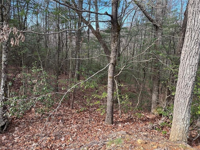 Listing photo 3 for LOT41 Sutters Ridge Rd, Mcgrady NC 28649