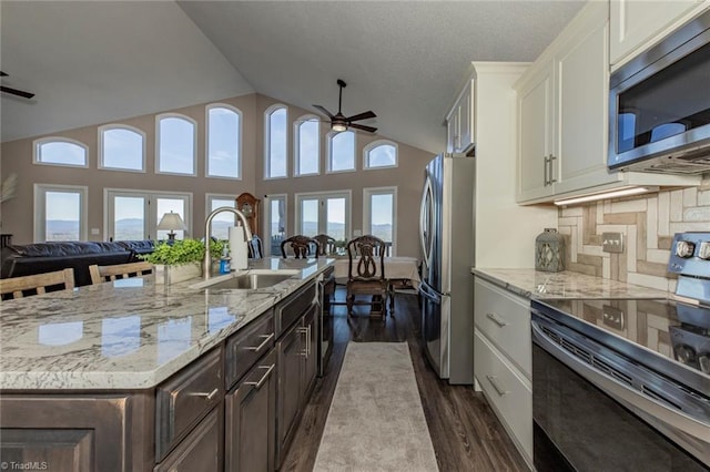 4933 W NC Highway 268, Wilkesboro, NC 28697 - kitchen featuring appliances with stainless steel finishes, a sink, ceiling fan, dark wood-type flooring, and lofted ceiling
