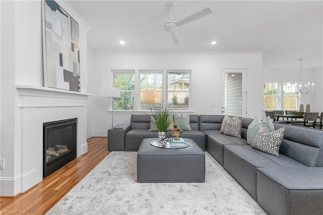 living area featuring a glass covered fireplace, wood finished floors, ornamental molding, and recessed lighting