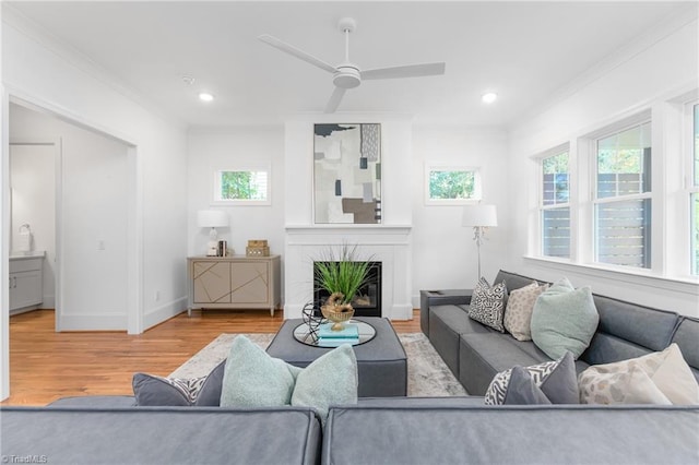 living room with a glass covered fireplace, crown molding, plenty of natural light, and wood finished floors