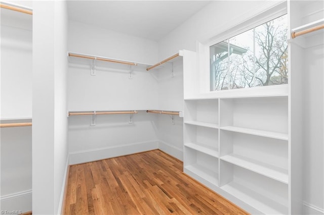 walk in closet featuring wood finished floors