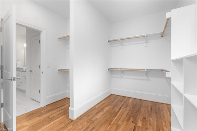 spacious closet featuring light wood-style floors