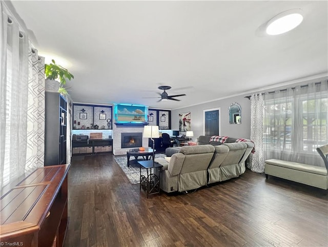 living area with a ceiling fan, a glass covered fireplace, ornamental molding, and dark wood-type flooring