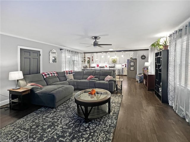 living area featuring crown molding, a ceiling fan, and dark wood-type flooring