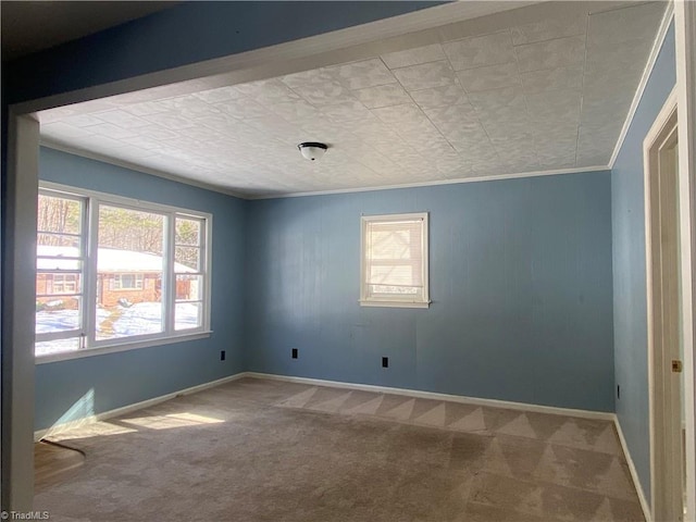 empty room with carpet floors and crown molding