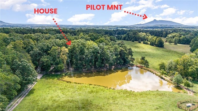 drone / aerial view with a view of trees and a water and mountain view