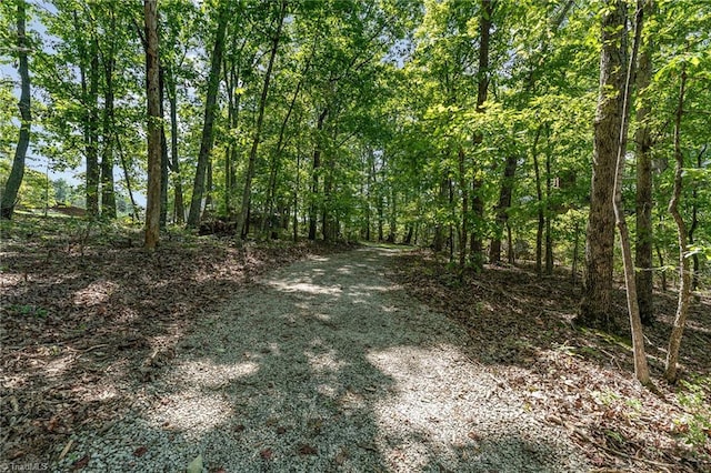 view of landscape featuring a forest view