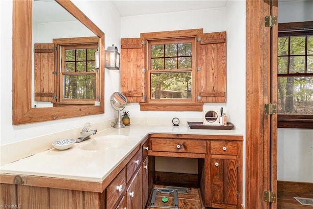 bathroom with hardwood / wood-style flooring, vanity, and plenty of natural light