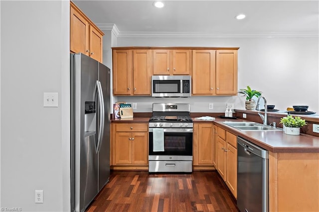 kitchen featuring recessed lighting, stainless steel appliances, dark wood-type flooring, a sink, and crown molding