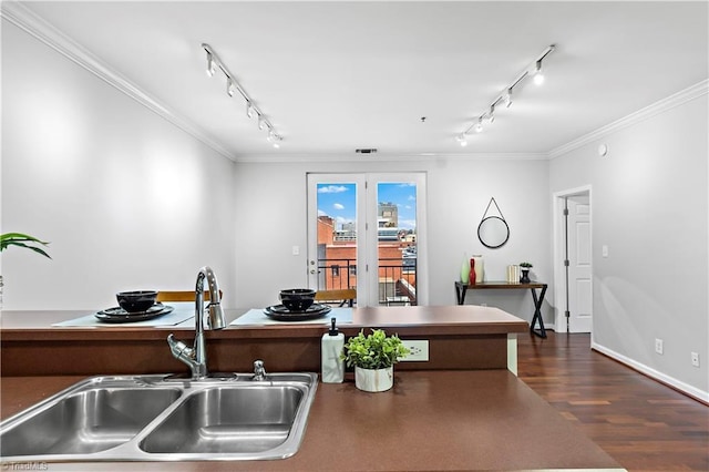 interior space featuring dark wood-style floors, ornamental molding, a sink, and track lighting