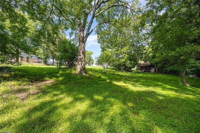 7387 NC Highway 62, Trinity, NC 27370 - view of grassy yard