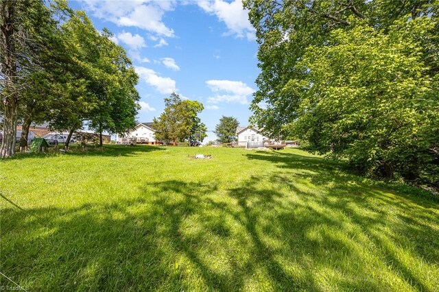 7387 NC Highway 62, Trinity, NC 27370 - view of green lawn