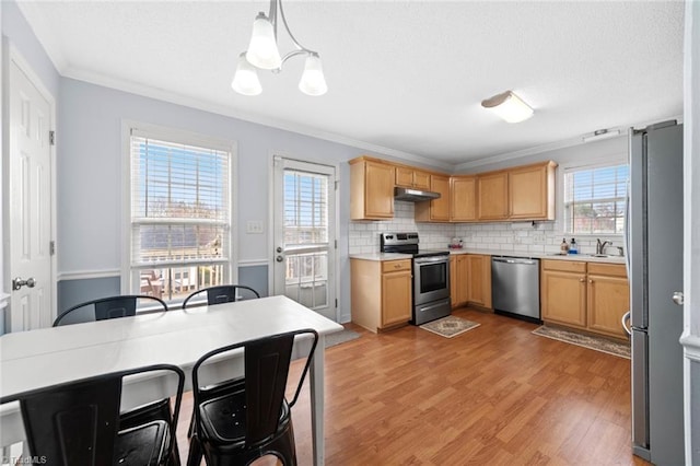 kitchen featuring under cabinet range hood, stainless steel appliances, light wood-type flooring, tasteful backsplash, and crown molding