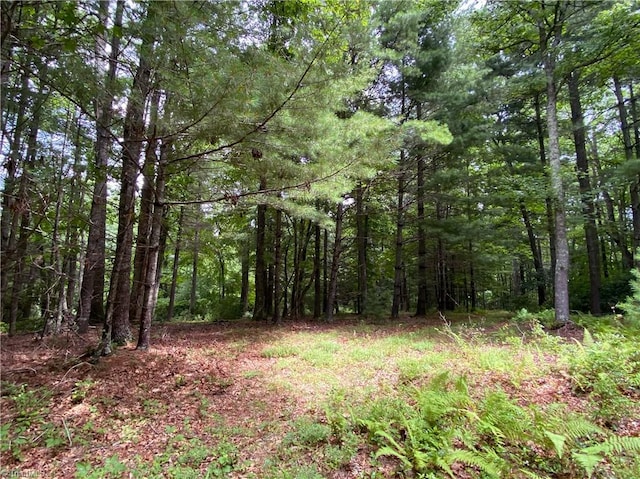 Listing photo 2 for TBD Maines Hill Ln, Scottville NC 28663