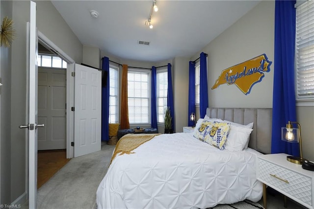 bedroom featuring light colored carpet and multiple windows