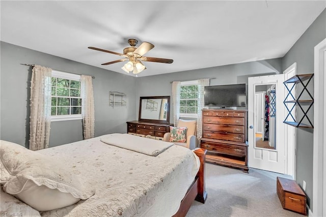 carpeted bedroom featuring ceiling fan, a closet, multiple windows, and a spacious closet