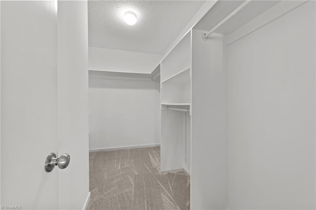 spacious closet featuring light colored carpet