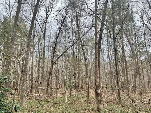 0 Pineview Rd, Goldston NC, 27252 land for sale