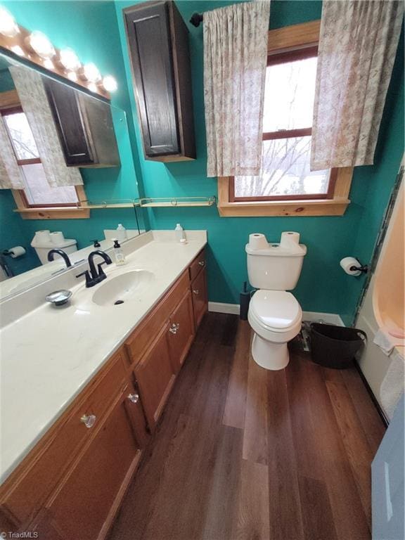 bathroom featuring vanity, toilet, and wood-type flooring