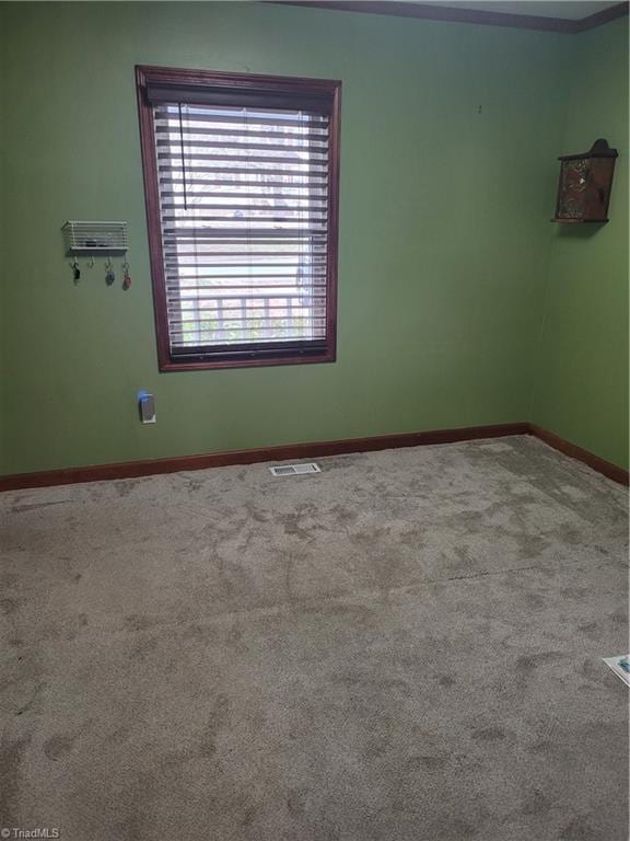 spare room with carpet floors