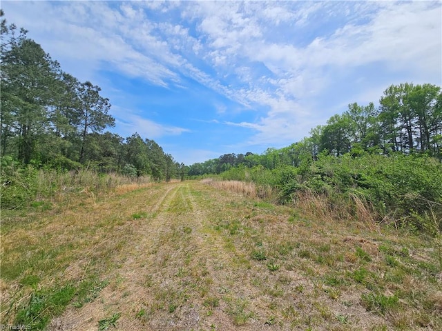 Listing photo 2 for XX54ACRES- Country Rd, La Grange NC 28551