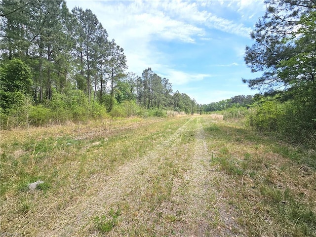 Listing photo 3 for XX54ACRES- Country Rd, La Grange NC 28551