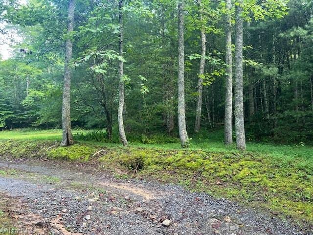 TBDGilsonDrive Gilson Drive, Hays NC, 28635 land for sale