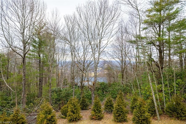 view of landscape with a forest view