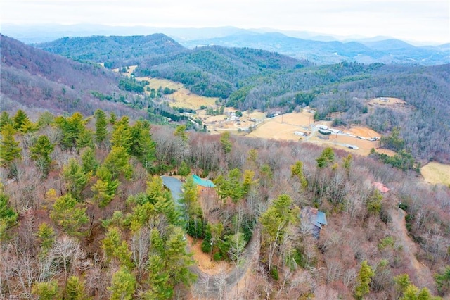 bird's eye view with a forest view and a mountain view