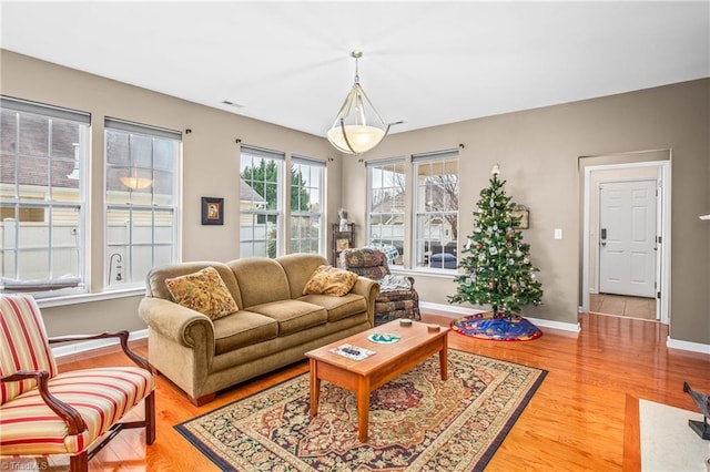 living room featuring wood-type flooring