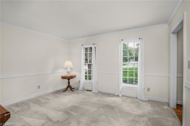 1113 Smokewood Dr, Apex, NC 27502 - empty room with ornamental molding, carpet flooring, a textured ceiling, and baseboards