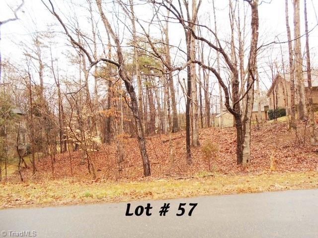 57 Indian Trl, Eden NC, 27288 land for sale