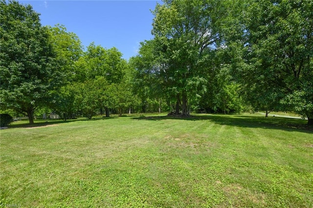 2377 Barber Rd, Elon, NC 27244 - view of green lawn