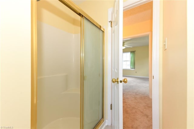 2377 Barber Rd, Elon, NC 27244 - bathroom with a stall shower