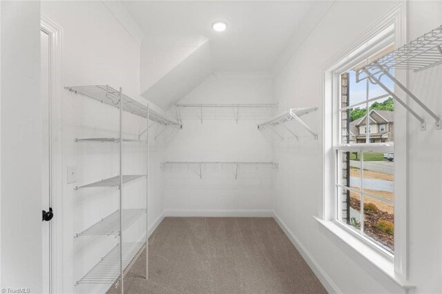 6975 Orchard Path Dr, Clemmons, NC 27012 - spacious closet featuring carpet floors