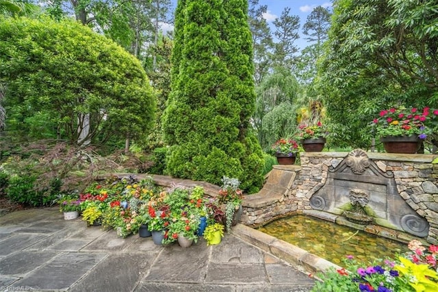 view of yard featuring a patio area